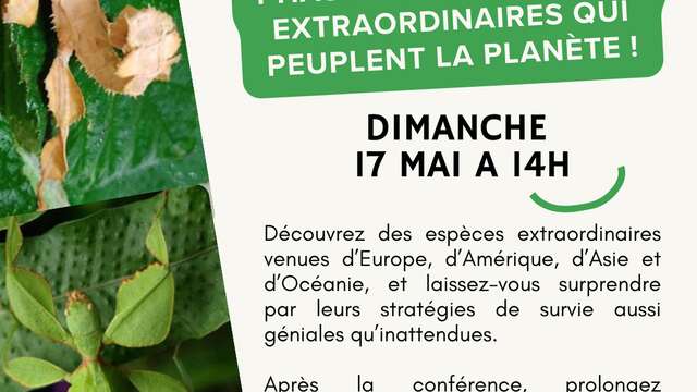 les insectes du monde