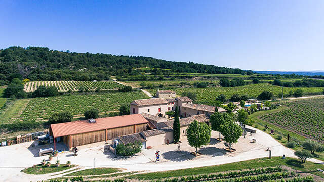 Balade gourmande au coeur des vignes & des vins de l'AOP Ventoux
