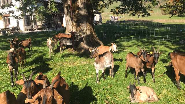 GAEC La Grange des Plans