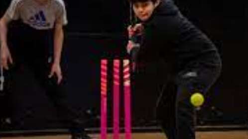 Atelier cricket