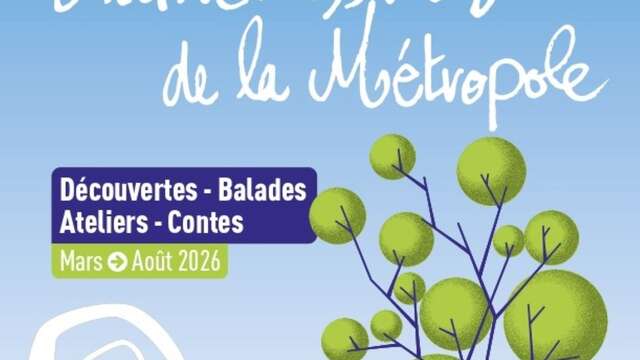 Auf Tuchfühlung mit der Zwergohreule - Die biodiversen Termine der Metropole