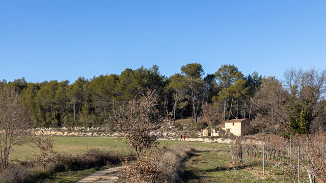 La balade du Petit Poucet