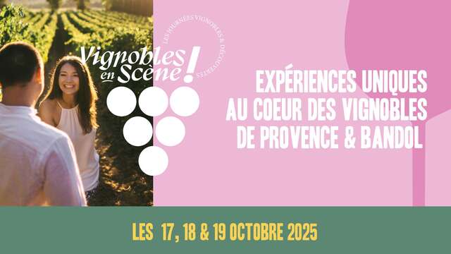 Vignobles en scène dans le Golfe de Saint-Tropez
