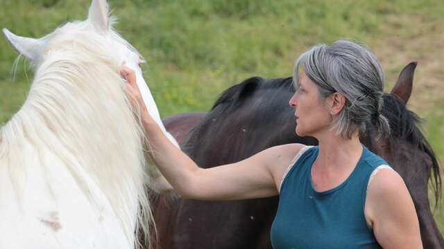 Accompagnement du binôme cavalier-cheval