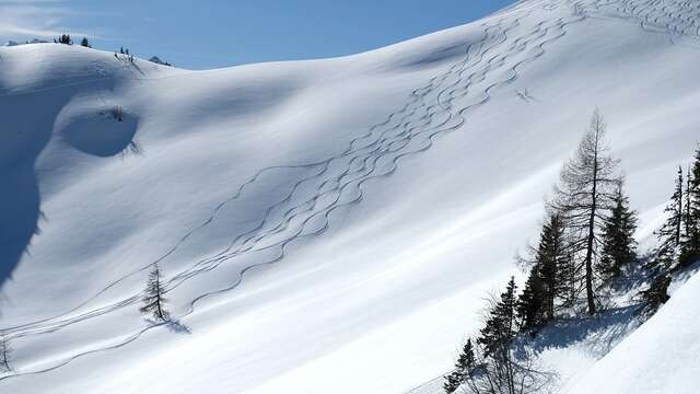 Hors piste / Ski de randonnée