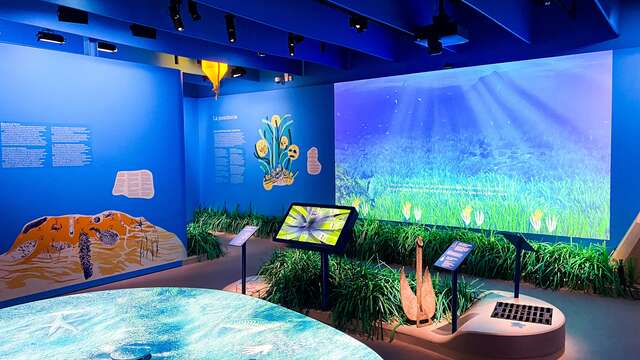 Posidonia - Espace Mer et Littoral