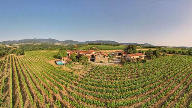 Wine Notes au Domaine Verzier