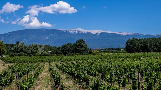 Domaine les Chancel