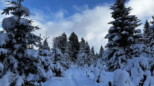 Sentier raquettes : la boucle des Combes