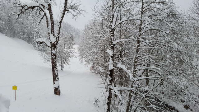 Pedestrian itinerary - snowshoes trail 19 - La Vallée du Bouchet
