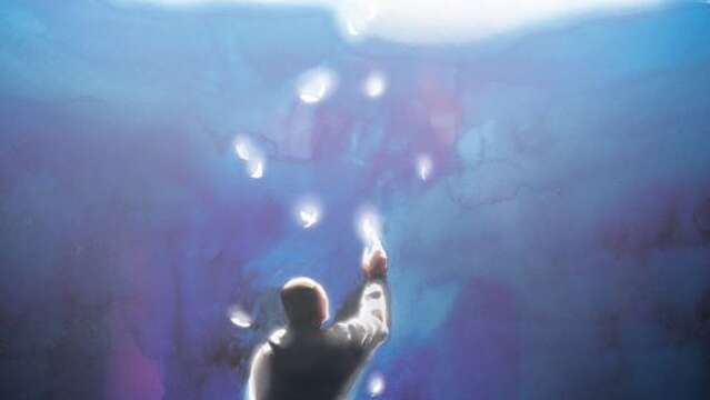 Spectacle lumineux - Onironaute