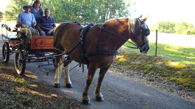 Promenade en calèche à Valence d'Agen