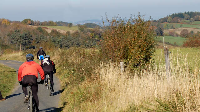 Espace VTT-FFC du Massif des Bois Noirs