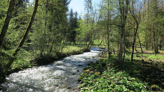 Les Dérèches - a walk along the banks of the Dranse river