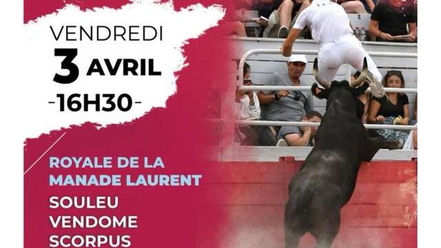 Féria de Pâques - Course Camarguaise