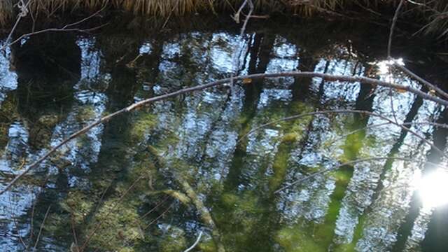 Sortie grand public autour des Nays