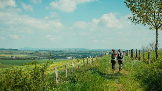 Via Sancti Martini : Saint-Georges-de-Baroille / Cordelle