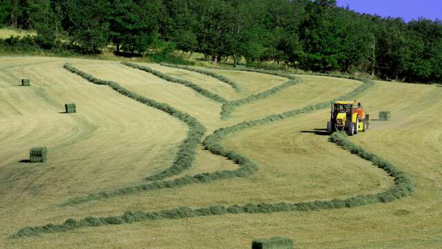 Ferme de Pracoutel