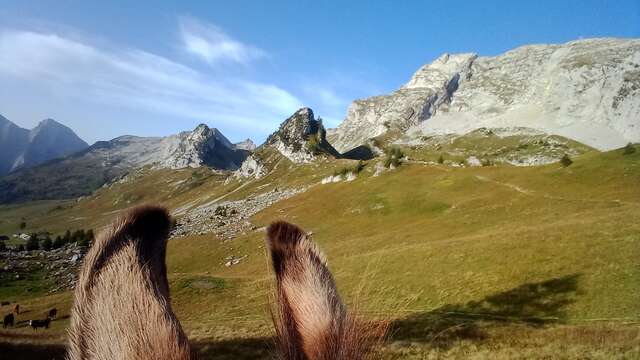 Randonnée montagne avec des ânes : 4 jours Tour du Charbon