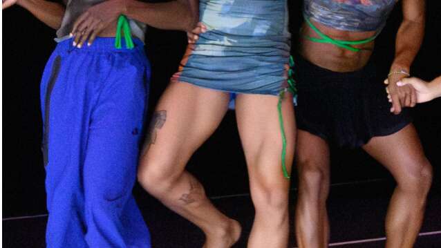 Calixto Neto, Bruits Marrons