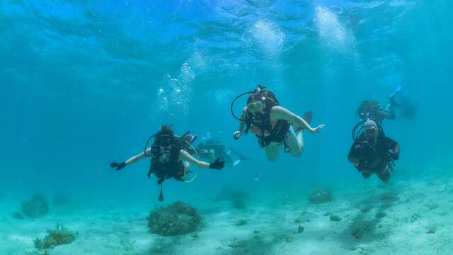 Masque de plongée - Marine Corail - Nouméa