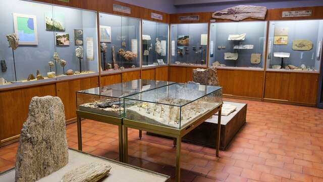 Visite-atelier du mercredi - Herbiers scientifiques et herbiers rêvés