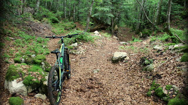 Piste VTT FFC noire 10 - La Féclaz