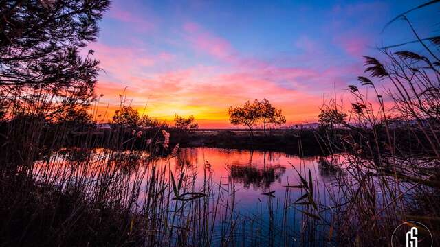 Exposition Life+ENVOLL