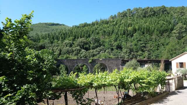 Le Viaduc de St Jean de Valériscle