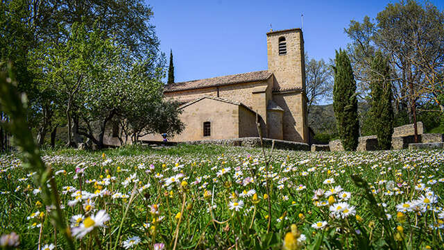 Vaugines à travers l'histoire