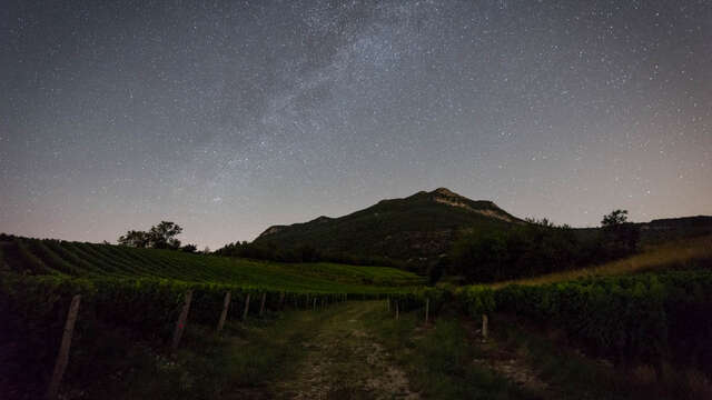 A la croisée des vins et des étoiles