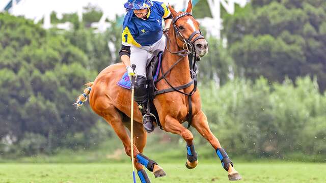 Tournoi de polo - Women polo series