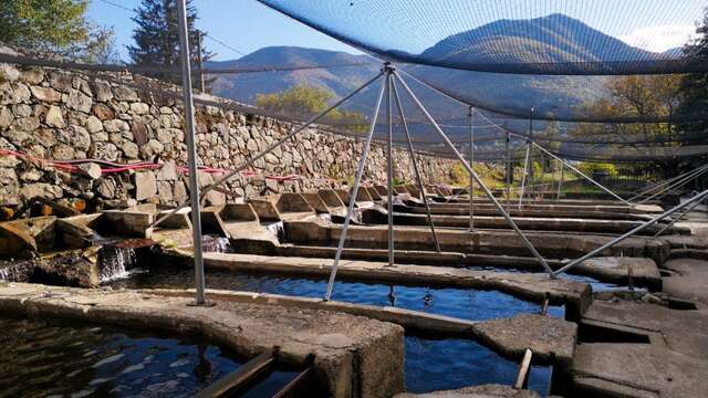 Granja de acuicultura Truite de l'Aston