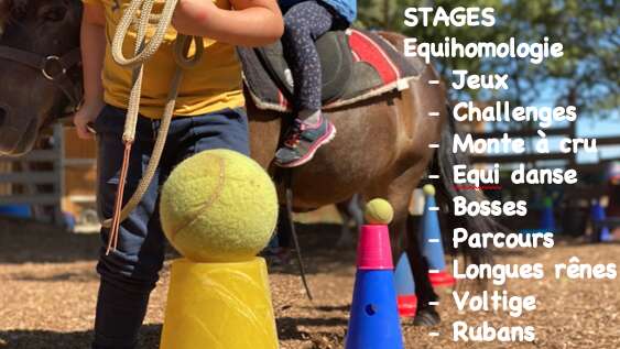 Stages à thème au centre équihomologie Lucky Horse