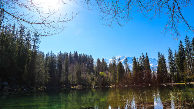 Randonnée vers le Lac Vert
