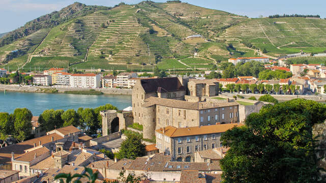 Château-Musée