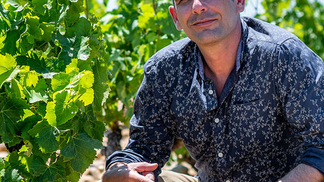 Trip in Provence The French Art de Vivre