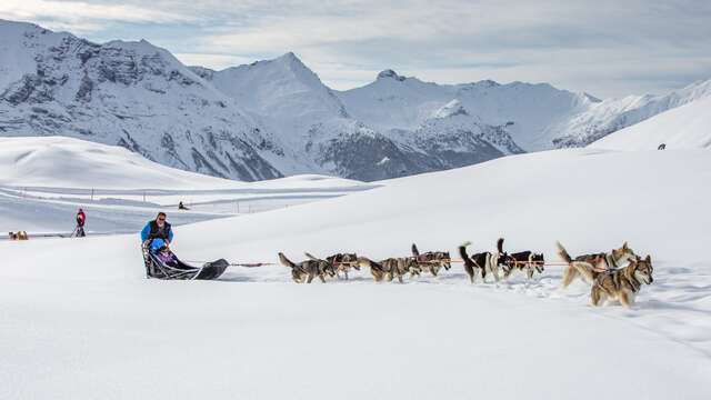 Chiens de traineaux et igloos - Alpi Traineau