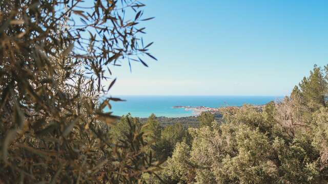 Wanderweg „Sentier des Nerthes“ (3,5 Stunden) – Gros Cerveau-Massiv