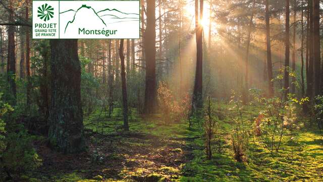 Forestiers de montagne, un autre monde