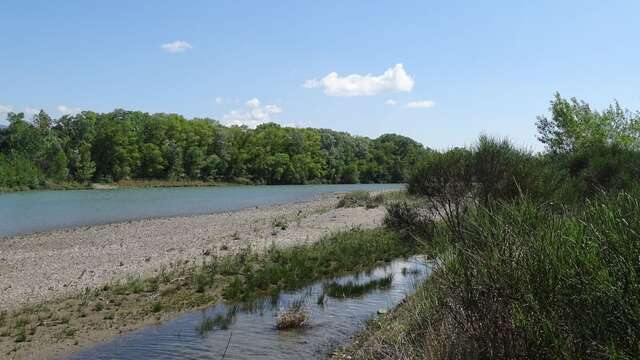 Les balades au fil de l'eau - Rives de la Durance