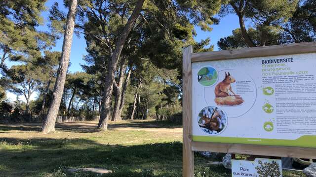 Parc aux écureuils