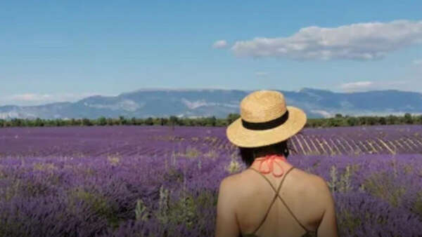 Visit winery and lavender farm
