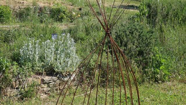 Stage "Vannerie au jardin"