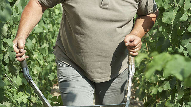 Domaine Pierre Gaillard