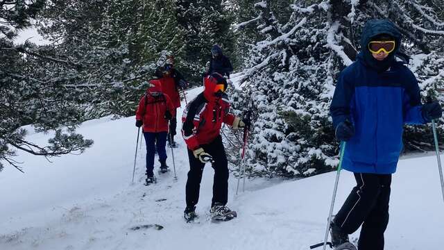 Snowshoeing in Ax 3 Domaines with Pyrénées Excursions