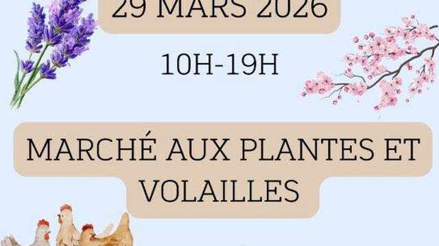 Marché aux plantes au Domaine Juliette Avril
