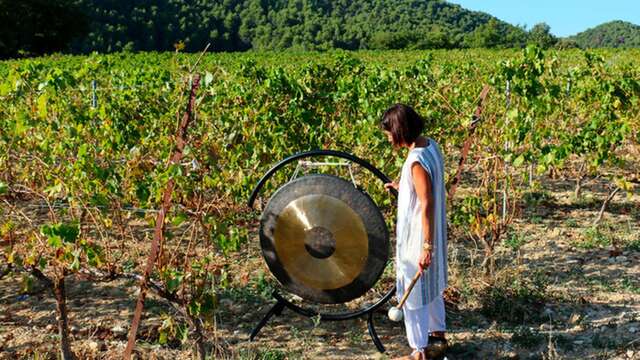 Week-end de stage : "Son, souffle et mouvement" avec Pilates & Plus