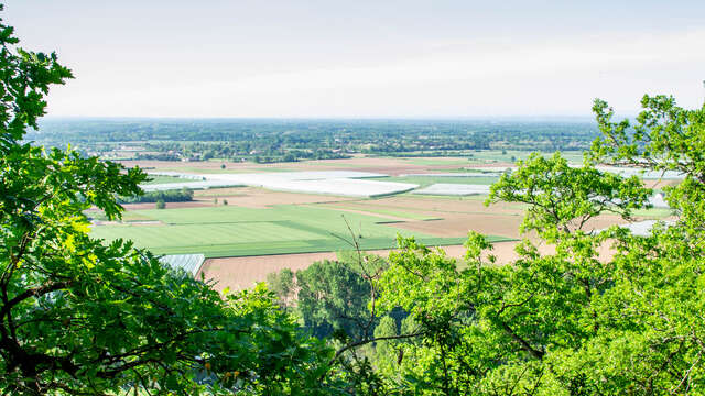 Circuit "Buffo crabo" de Piquecos