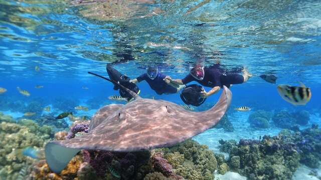 Moorea Water Games